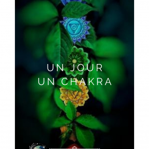 E-book "Un jour un chakra"
