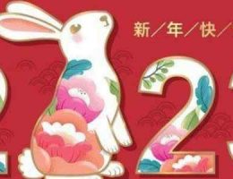 Nouvel an chinois 2023 : année du lapin d'eau