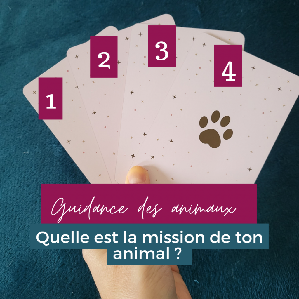 Quelle est la mission de ton animal ? 